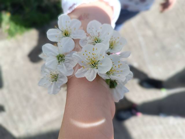 Cvetne narukvice