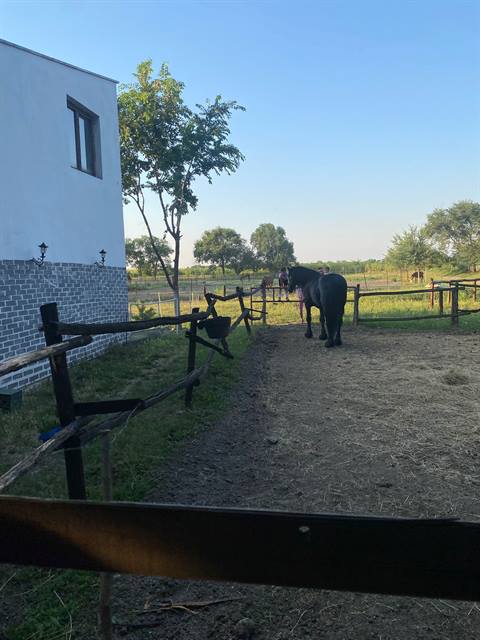 Poseta konjičkom klubu „Jedinstvo“
