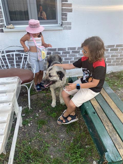 Poseta konjičkom klubu „Jedinstvo“