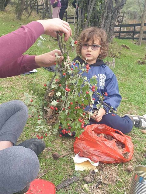 Sadnja drveća i hranilice za ptice