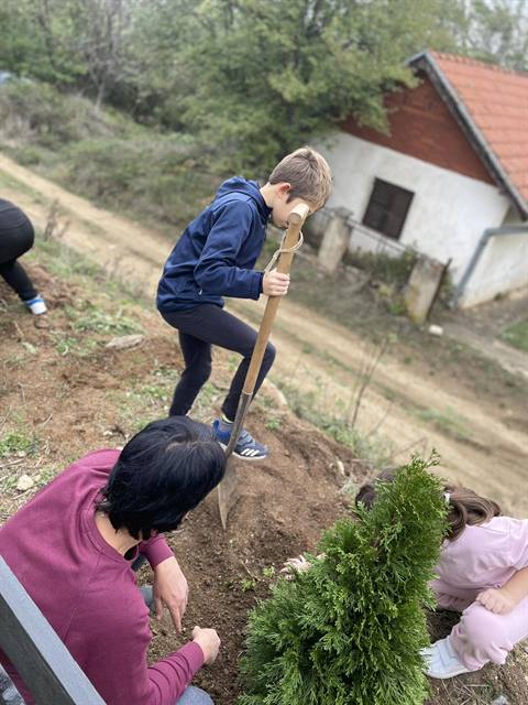 Sadnja drveća i hranilice za ptice