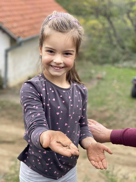 Sadnja drveća i hranilice za ptice