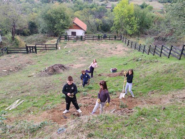 Sadnja drveća i hranilice za ptice