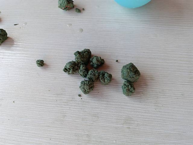 Semene bombe