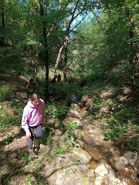 Skriveno mesto kod potoka