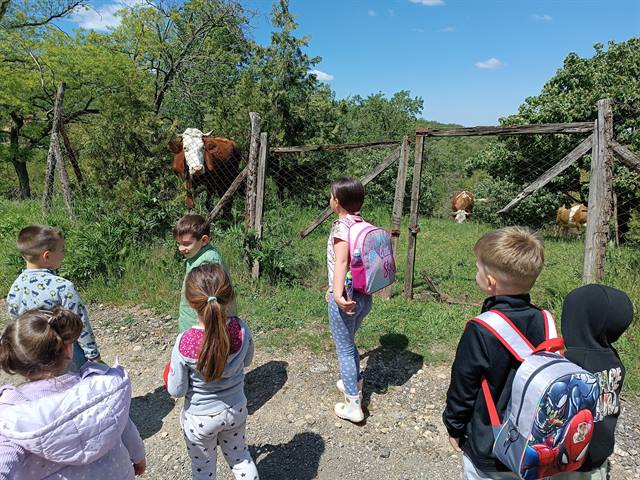 Skriveno mesto kod potoka