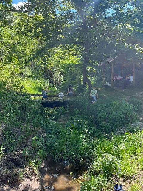 Skriveno mesto kod potoka