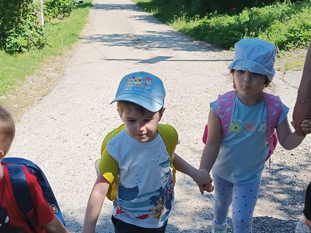 Šumska stvorenja i njihov dom