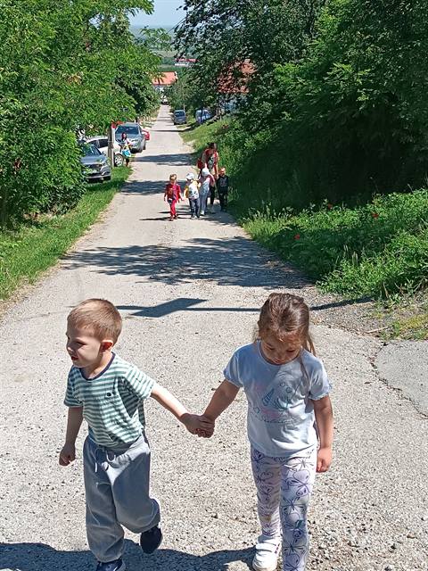 Šumska stvorenja i njihov dom