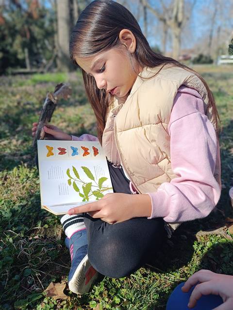 Umetničke fotografije — Park