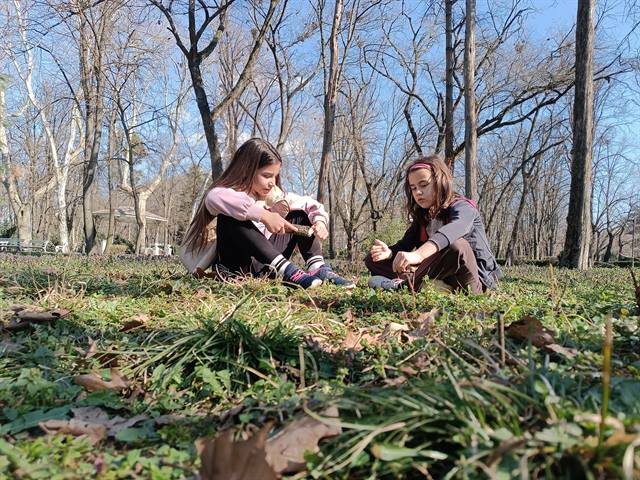 Umetničke fotografije — Park
