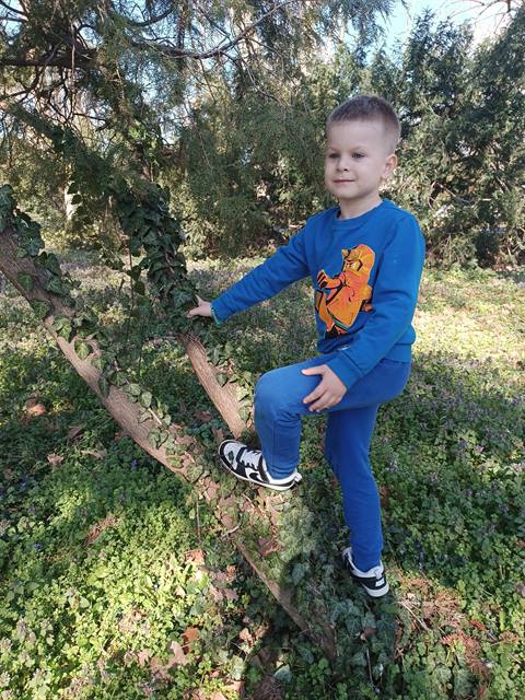 Umetničke fotografije — Park