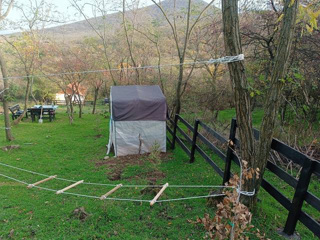 Zdravo telo, srećno telo